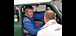 Celebrities and their Minis: TIFF NEEDELL